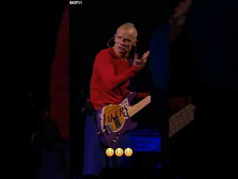 Flea’s Bass: “Nope, I’m Not Feeling The Groove Today, Sorry! 👍🫡” #redhotchilipeppers #live #shorts