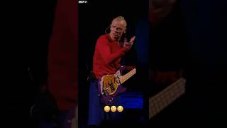 Flea’s Bass: “Nope, I’m Not Feeling The Groove Today, Sorry! 👍🫡” #redhotchilipeppers #live #shorts