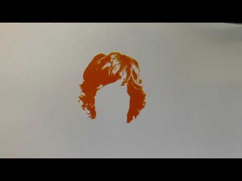 The Shaun White Album (2004)