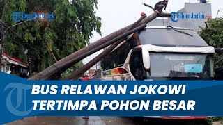 Kronologi Bus Relawan Jokowi Tertimpa Pohon, Beruntung Terselamatkan Kabel yang Melintang