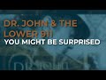 Dr. John & The Lower 911 - You Might Be Surprised (Official Audio)