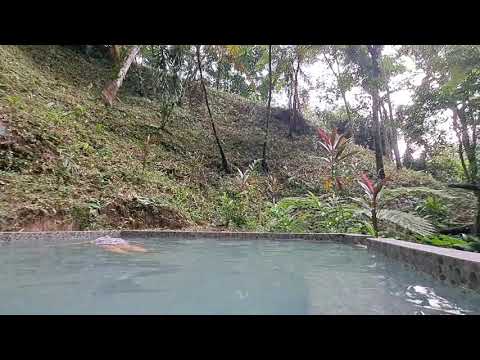 Finca san miguel, en san miguel panan suchitepequez