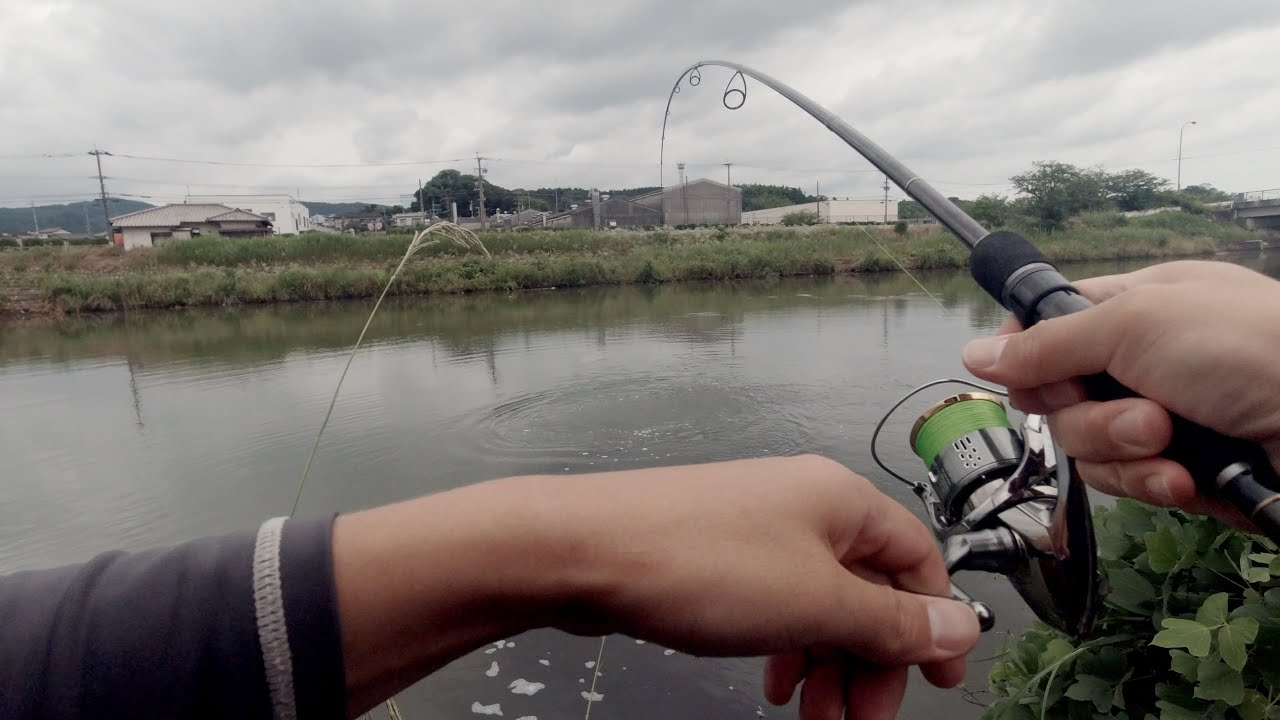 アジングロッドでシーバス狙ったら、楽しすぎた件