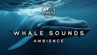 WHALE SOUNDS NO MUSIC, WHALES SINGING, WHALE SOUNDS, OCEAN UNDERWATER WHALE SLEEP FOR 8 HOURS