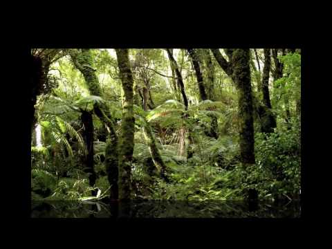 So Far Away - Amici Forever