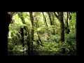So Far Away - Amici Forever 