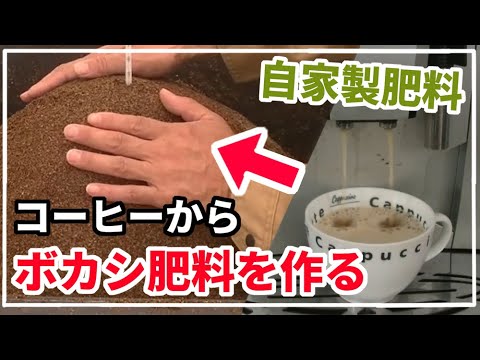 私のカエデの木が露地鉢で育たないのはなぜですか ポットメンテナンスのヒント