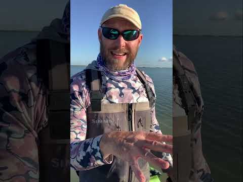 Are big trout everywhere. Don’t believe what you hear about…