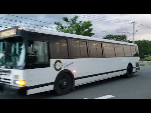 The Transformation of "Queen Mary" Ex CARTA Flxible Metro #1426