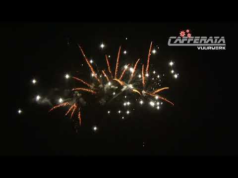 5032 - Golden Wave King & White Blink