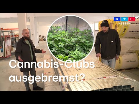 High regulations, bureaucracy and empty halls: Why cannabis clubs in Hesse are not getting off th...