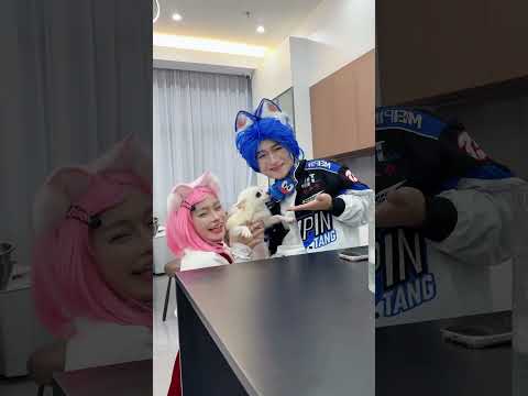 索尼克和艾咪很喜欢小狗！#sonic