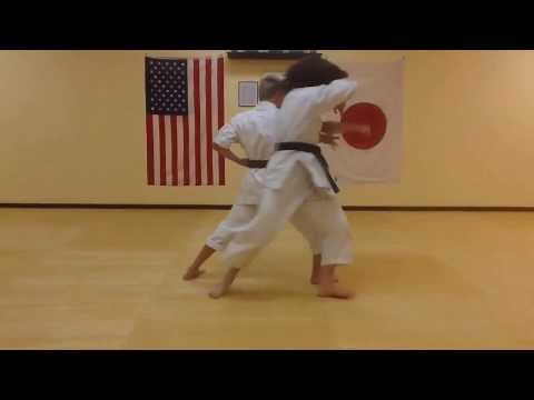 World Traditional Karate Federation. W.T.K.F