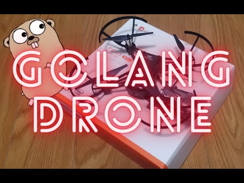 Flying a drone with golang.