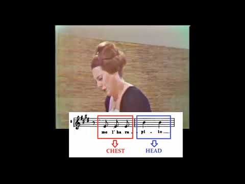 FEMALE VOICE - strong middle voice, strong head voice, coordinated chest voice