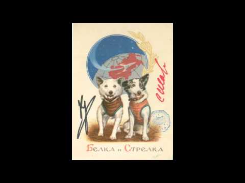 adamned.age - Laika in Space