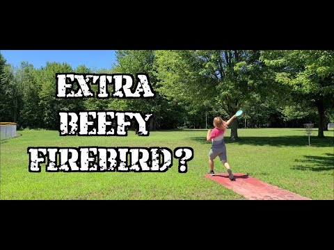 THE BEST DISC YOU'VE NEVER THROWN | Disc Review ...