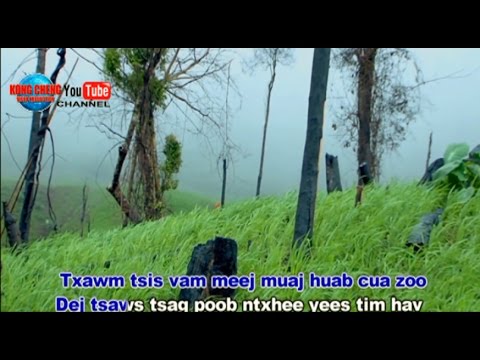 NTUJ CEEB TSHEEJ HAUV HMOOB SIAB