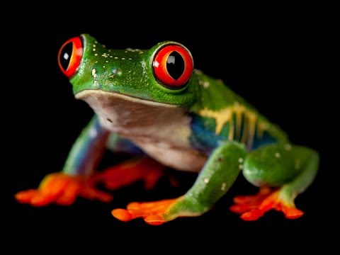 Noah Greene #Exposed