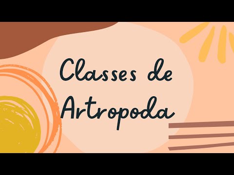 Classificação dos artrópodes