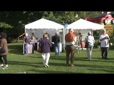 Kunsthandwerkmarkt in Aesch - regioTVplus