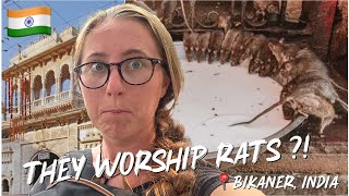 Why 25,000 Rats Are Worshipped at This Temple in India... 🇮🇳