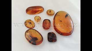  Křídový jantar SJ-6