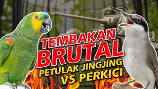 Download lagu MASTERAN PETULAK JINGJING VS PERKICI TEMBAKAN BRUTAL SUARA JERNIH ADA JEDA mp3 Download lagu MASTERAN PETULAK JINGJING VS PERKICI TEMBAKAN BRUTAL SUARA JERNIH ADA JEDA mp3