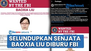 Geram! Warga China Baoxia Liu Kirim Komponen Senjata AS ke Iran, Jadi Orang Paling Dicari FBI
