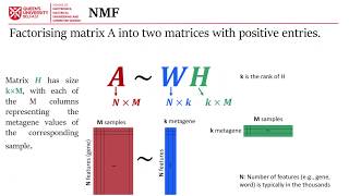 Data Analysis and Visualisation Review | Non-Negative Matrix Factorisation