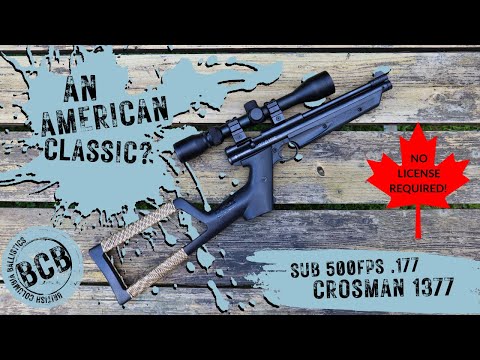 Crosman 362 Multi Pump Air Rifle - Review Revisited
