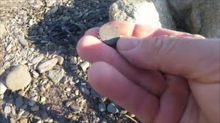 Beach Metal Detecting New Hampshire Barbers on top of the Sand