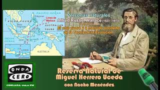 Miniatura de YouTube para: Alfred Russel Wallace (1823-1913)