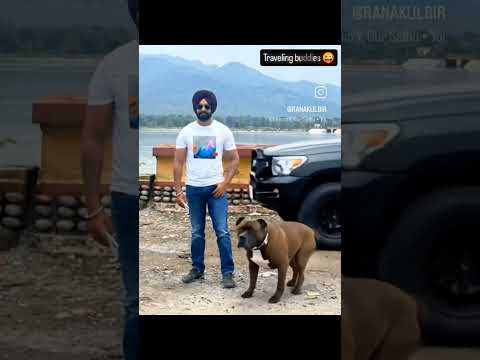 The best travelling buddies🚗🐕