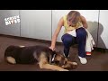 Meet The Bionic Dog The Bionic Woman Screen Bites