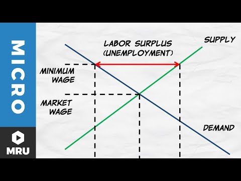 Price Floors: The Minimum Wage