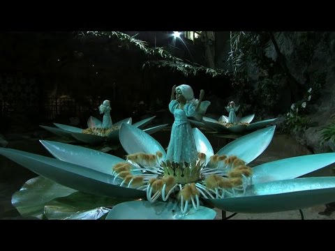 Dit zijn de nieuwe Waterlelies!