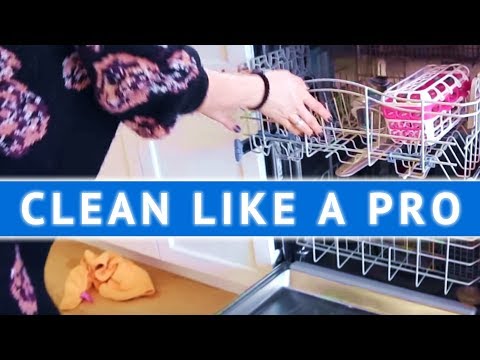 CLEAN LIKE A PRO: Cleaning the Dishwasher!