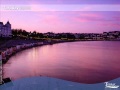Torquay - The Ventures