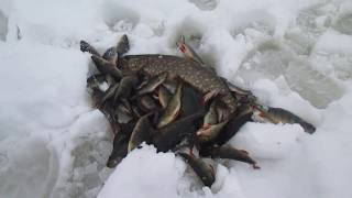 Рыбалка с берега на карте