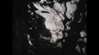 heron oblivion - rama