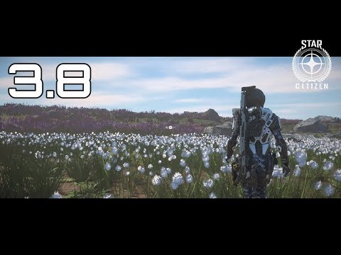 Star Citizen 3.8 - Camera is broken | Ultra | RTX 2080 Ti