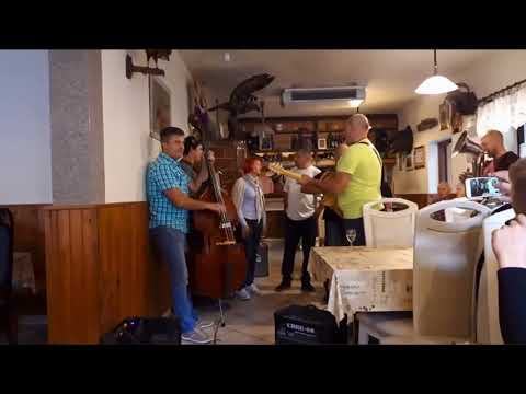 Ansambel Vrtnica - NA TRNOVSKI PLANOTI