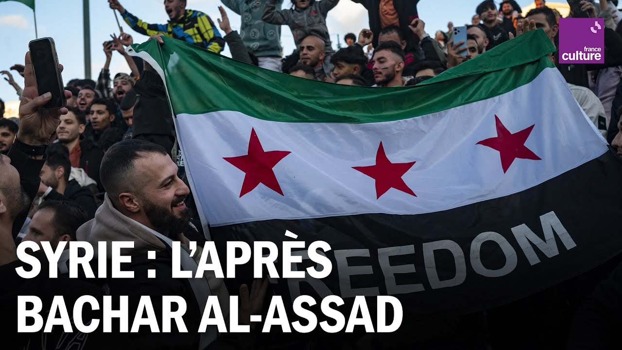 Chute de Bachar al-Assad en Syrie : après des décennies de dictature, quelles perspectives ?