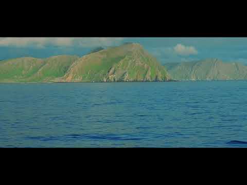 SCOTTY -  He's a Pirate 2k20 (VIDEO CUT)