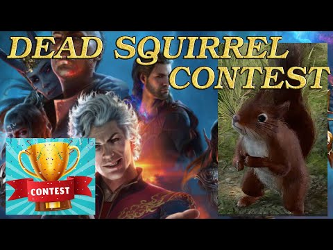 COMPANIONS REACTIONS for KICKING SQUIRREL, CONTEST in BALDURS GATE 3
