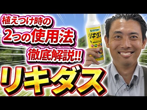 園芸 ハリエニシダ
