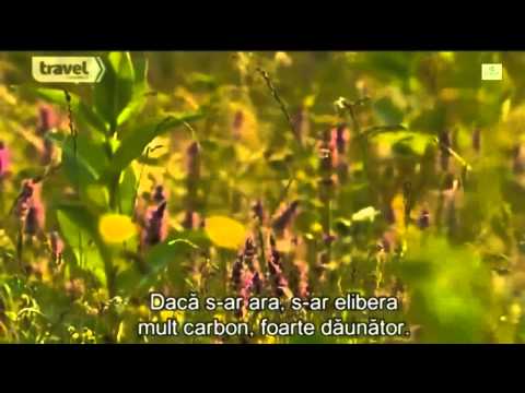 Cazare Ieftina Arad - Cazat.ro