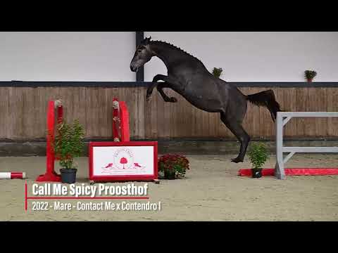 Call Me Spicy Proosthof