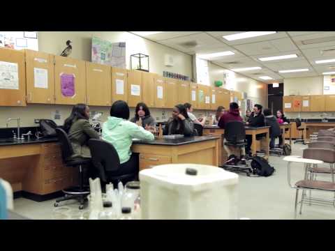 City Colleges of Chicago-Richard J Daley College - video